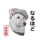 柴犬まみれ・その壱（個別スタンプ：9）