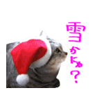 【ねこクリスマス】（個別スタンプ：23）
