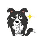 Border Collie - black and white brother（個別スタンプ：1）
