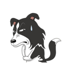 Border Collie - black and white brother（個別スタンプ：3）