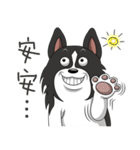 Border Collie - black and white brother（個別スタンプ：5）