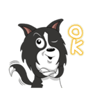 Border Collie - black and white brother（個別スタンプ：6）