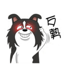 Border Collie - black and white brother（個別スタンプ：11）
