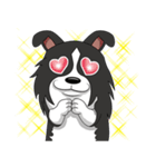 Border Collie - black and white brother（個別スタンプ：21）