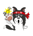 Border Collie - black and white brother（個別スタンプ：24）