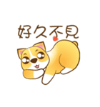 bored dog movement one（個別スタンプ：14）