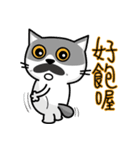 MeowMe Friends-Great Daily Phrases03（個別スタンプ：12）