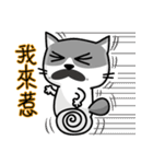 MeowMe Friends-Great Daily Phrases03（個別スタンプ：20）