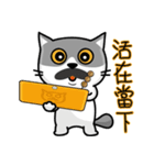 MeowMe Friends-Great Daily Phrases03（個別スタンプ：32）