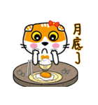 MeowMe Friends-Great Daily Phrases03（個別スタンプ：35）