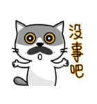 MeowMe Friends-Great Daily Phrases02（個別スタンプ：18）