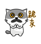 MeowMe Friends-Great Daily Phrases02（個別スタンプ：26）