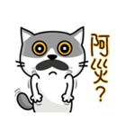 MeowMe Friends-Great Daily Phrases02（個別スタンプ：37）