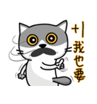 MeowMe Friends-Great Daily Phrases02（個別スタンプ：40）