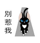 Travel Black Cat（個別スタンプ：15）