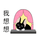 Travel Black Cat（個別スタンプ：26）