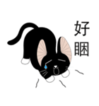 Travel Black Cat（個別スタンプ：39）