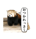 動物たちの心の叫び（個別スタンプ：9）