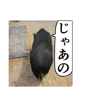 動物たちの心の叫び（個別スタンプ：31）