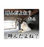 動物たちの心の叫び2（個別スタンプ：8）