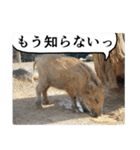 動物たちの心の叫び2（個別スタンプ：21）