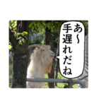 動物たちの心の叫び2（個別スタンプ：27）