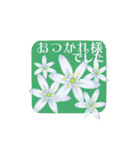 『花の癒し』控えめな敬語の花たち（個別スタンプ：17）