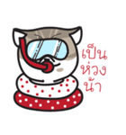 Pe' Mee Na Maew,The Bear is cat（個別スタンプ：13）