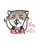 Pe' Mee Na Maew,The Bear is cat（個別スタンプ：25）