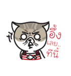 Pe' Mee Na Maew,The Bear is cat（個別スタンプ：26）