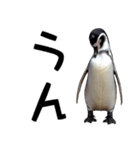 ペンギンの時間（個別スタンプ：25）