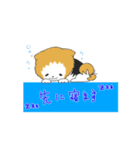 集合！ポメちゃんズ！！（個別スタンプ：38）