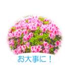 花束でお祝い（写真使用）（個別スタンプ：15）