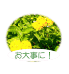 花束でお祝い（写真使用）（個別スタンプ：16）