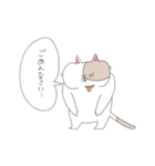 ぼくんちのねこ（個別スタンプ：15）