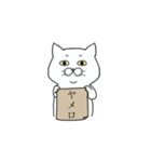 白ねこエブリディ（個別スタンプ：16）