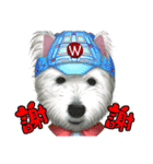 West Highland White Terrier faithful3（個別スタンプ：4）