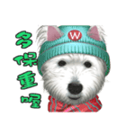 West Highland White Terrier faithful3（個別スタンプ：6）