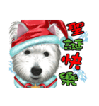 West Highland White Terrier faithful3（個別スタンプ：7）