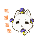 QQ fox-face（個別スタンプ：1）