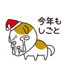 へたれいぬ 2 〜クリスマスと年末年始〜（個別スタンプ：5）