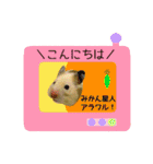 キンクマハムスターきなこ（個別スタンプ：11）