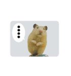 キンクマハムスターきなこ（個別スタンプ：27）