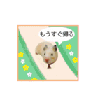 キンクマハムスターきなこ（個別スタンプ：28）