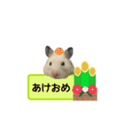 キンクマハムスターきなこ（個別スタンプ：32）