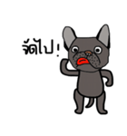 Ma Baa - The crazy dog III（個別スタンプ：1）