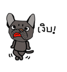 Ma Baa - The crazy dog III（個別スタンプ：5）