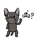 Ma Baa - The crazy dog III（個別スタンプ：11）