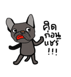 Ma Baa - The crazy dog III（個別スタンプ：15）