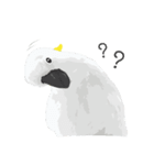 Hello Cockatoo（個別スタンプ：3）